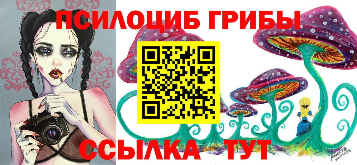 Псилоцибиновые грибы MAGIC MUSHROOMS  Вход с VPN  Кашира 